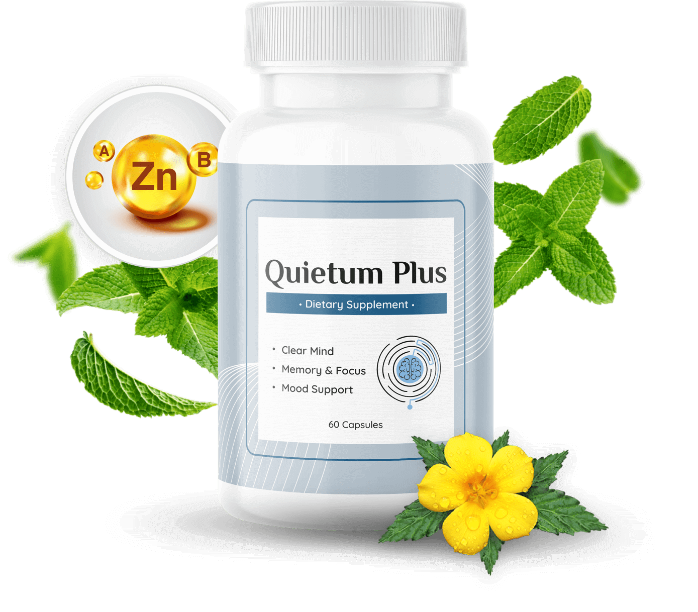 Quietum Plus Healthy Urinary System
